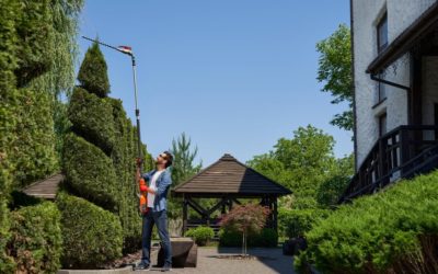 Designing Your Outdoor Oasis: Ideas for Patio Spaces